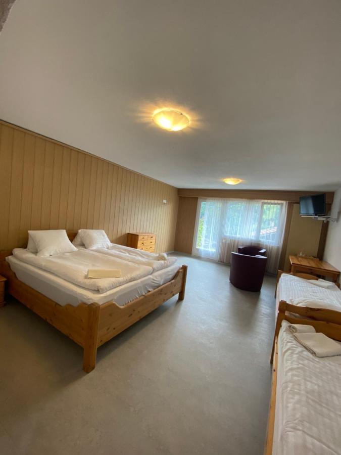Sky Rooms, Mountainous View Saas im Prattigau Eksteriør billede